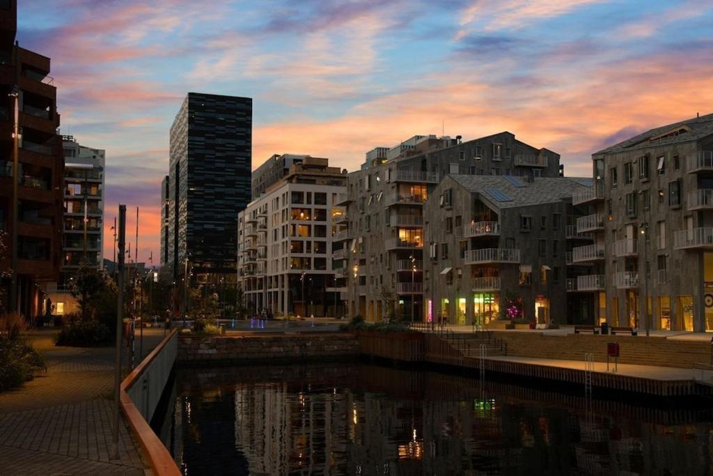 Lovely Central Apartment With Two Large Bedrooms Nearby Oslo Opera, Vis A Vis Botanical Garden Εξωτερικό φωτογραφία