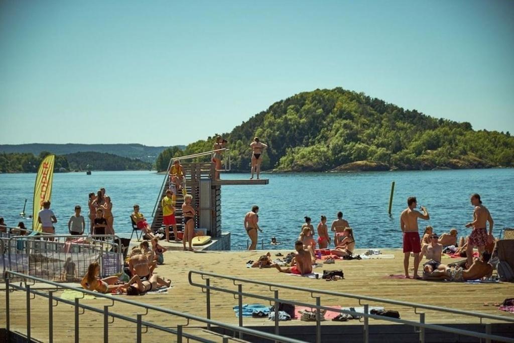 Lovely Central Apartment With Two Large Bedrooms Nearby Oslo Opera, Vis A Vis Botanical Garden Εξωτερικό φωτογραφία